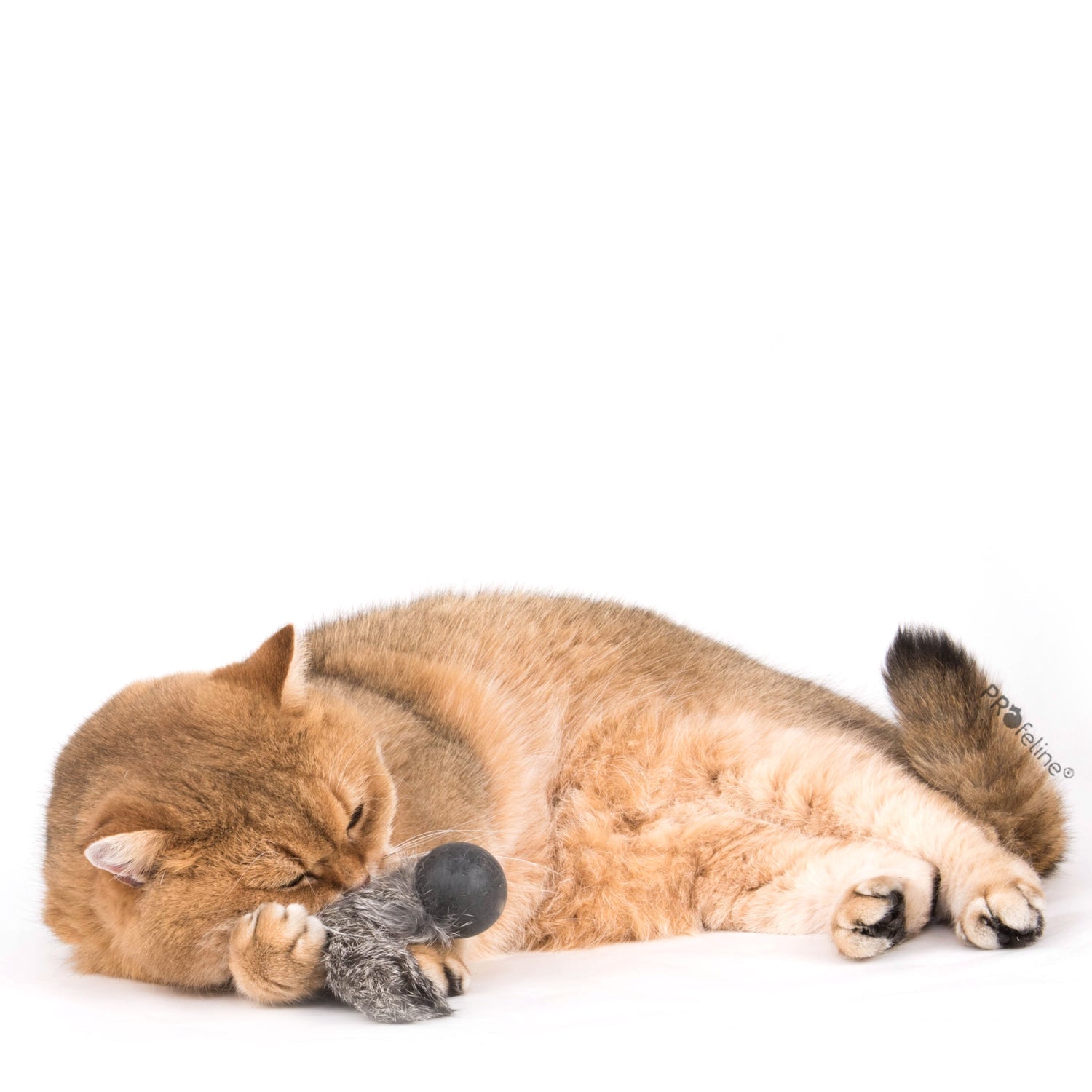 Jouet pour chat Balle Pong avec fourrure de lapin naturelle - PROFELINE - DOG DéliCAT