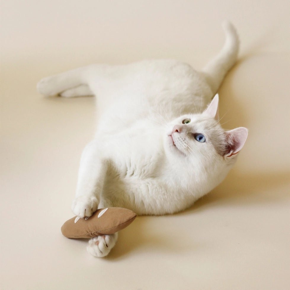 Jouet pour chat Croissant beurré Ecocat en coton avec herbe à chat – DOG DéliCAT