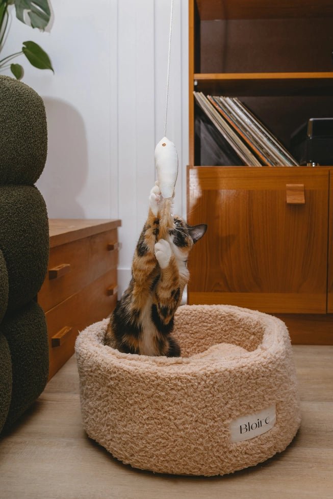 Jouet pour chat Golden Fish Ecocat en coton avec plumes naturelles et herbe à chat – DOG DéliCAT
