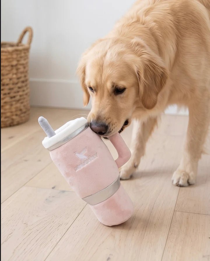 jouet pour chien gourde de sport rose Gobelet Douillet Blush – Haute Diggity Dog – DOG DéliCAT