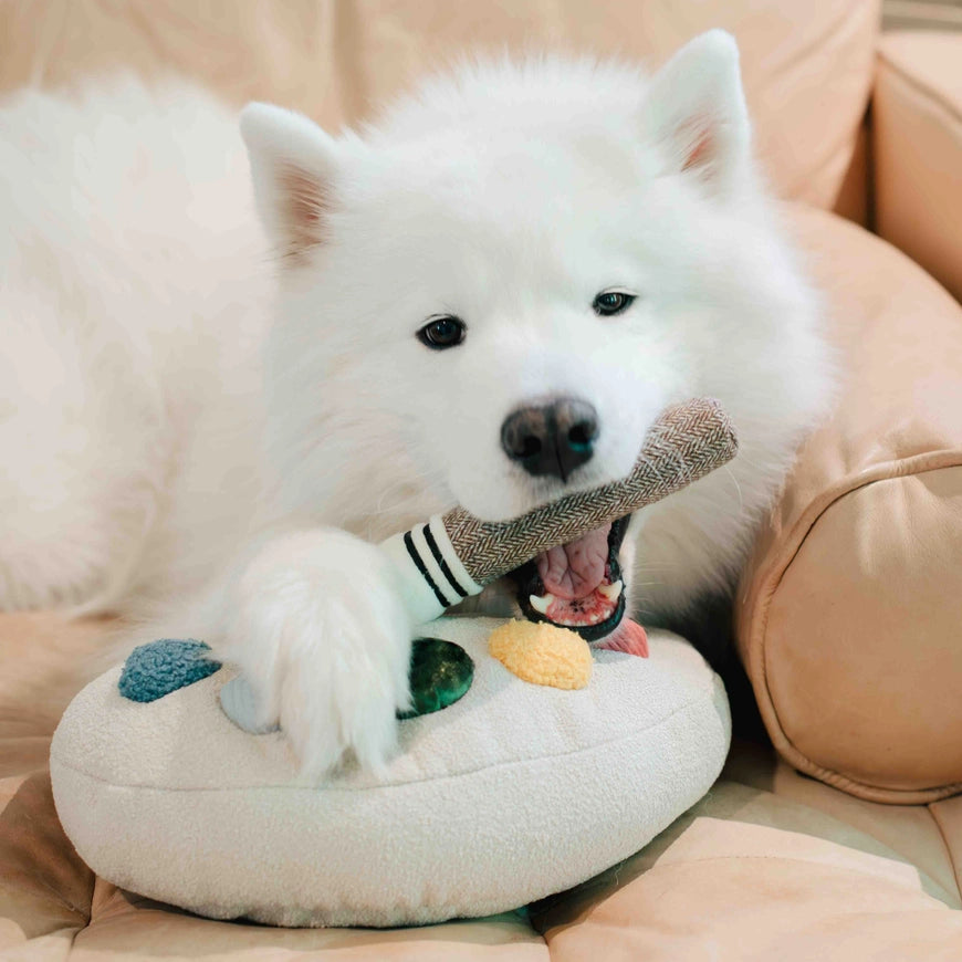 Jouet pour chien palette de couleurs Lambwolf – Lambwolf Collective – DOG DéliCAT