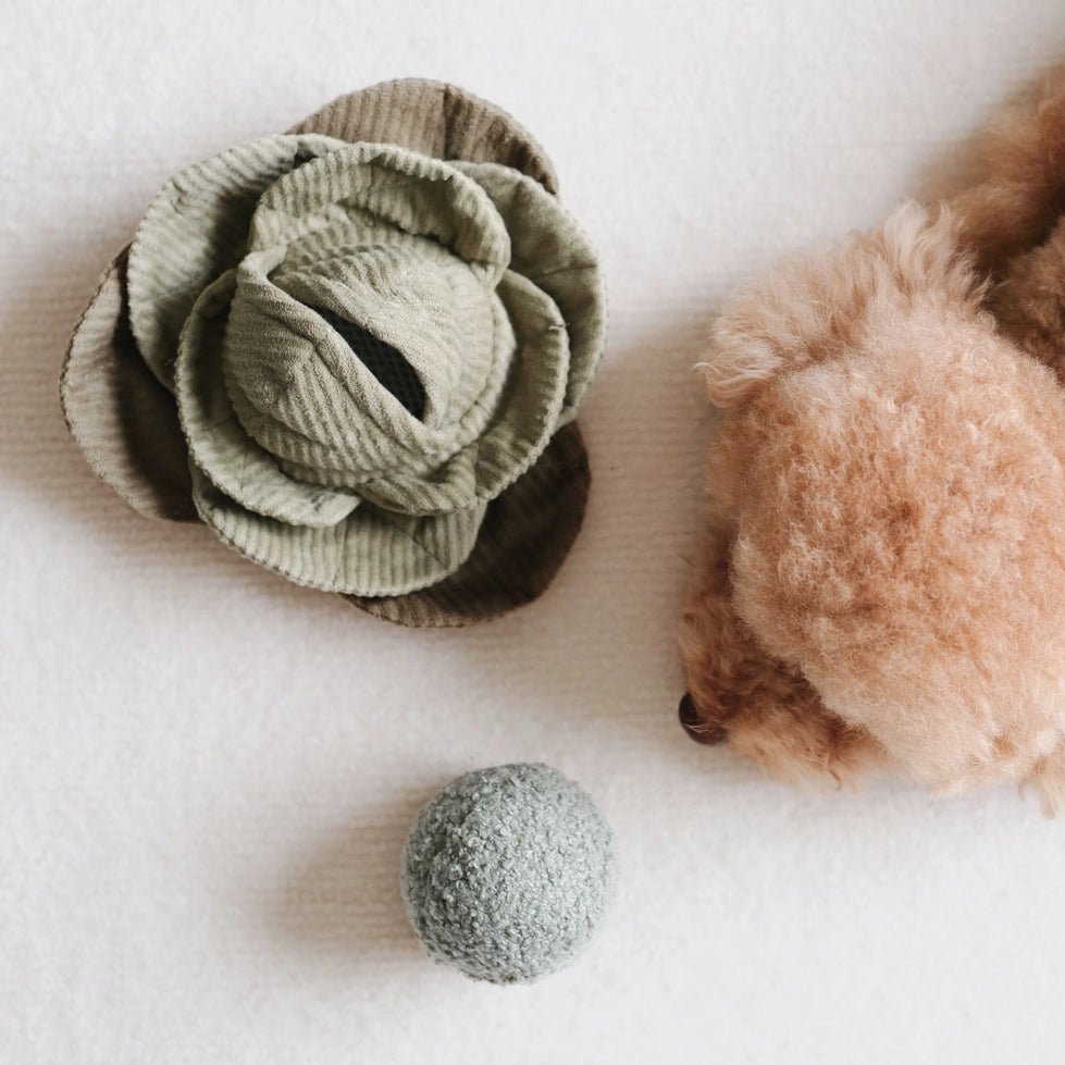 Jouet pour chien - Peluche de fouille + Pop Choux 🐾 - LAMBWOLF - DOG DéliCAT