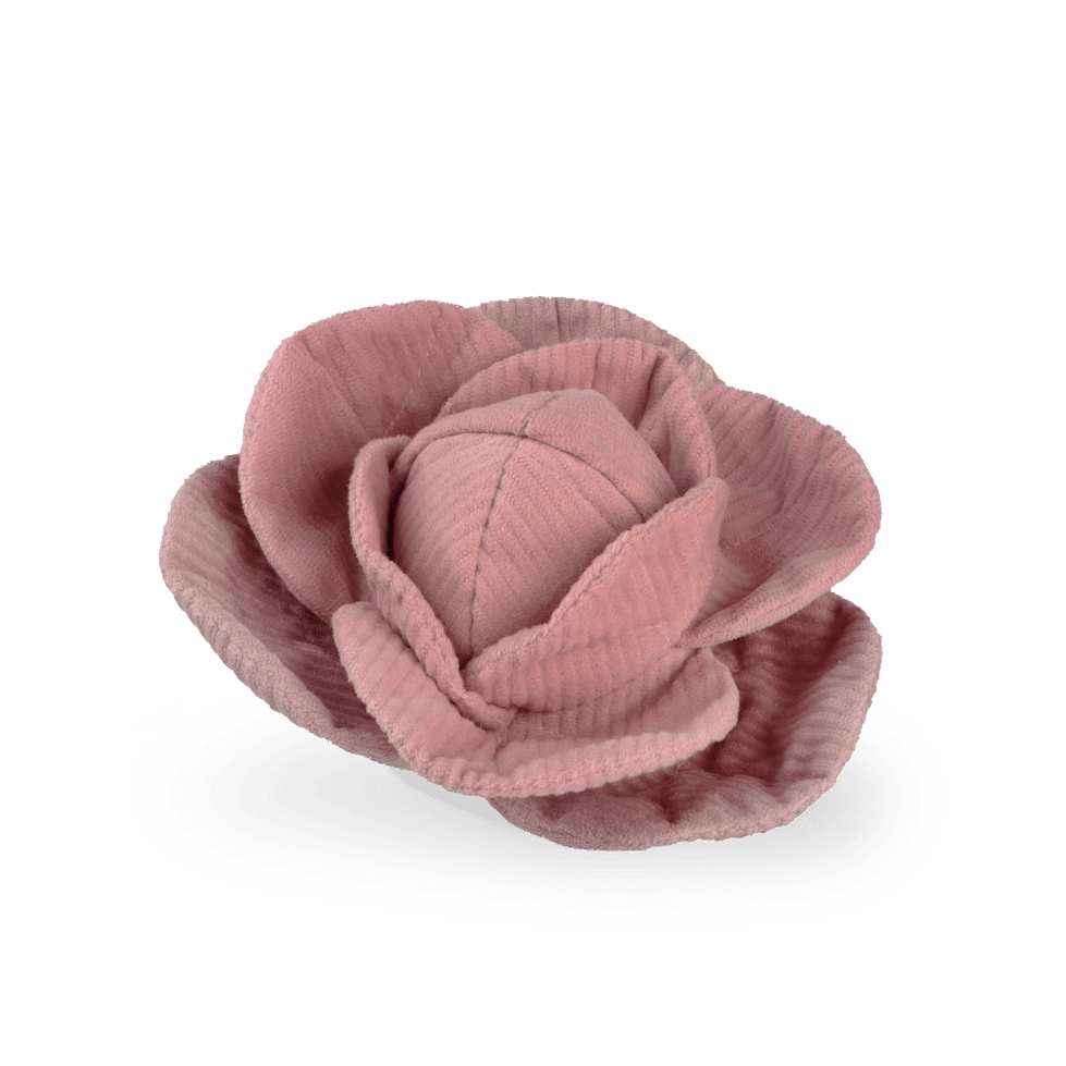 Jouet pour chien - Peluche de fouille + Pop Choux 🐾 - LAMBWOLF - DOG DéliCAT