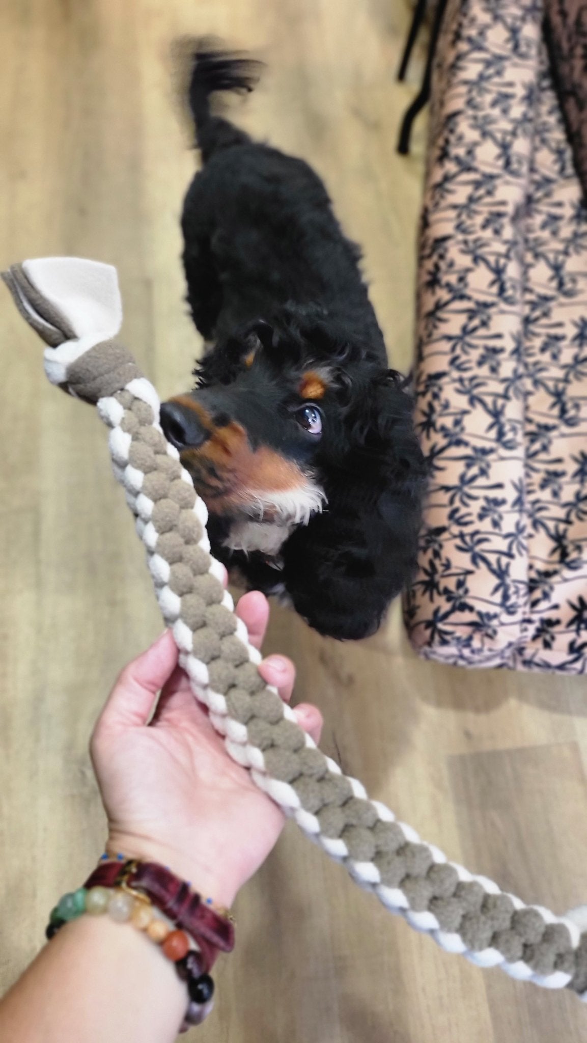 Jouet Tug (Beige/Marron Clair) - CREAPIMK - DOG DéliCAT