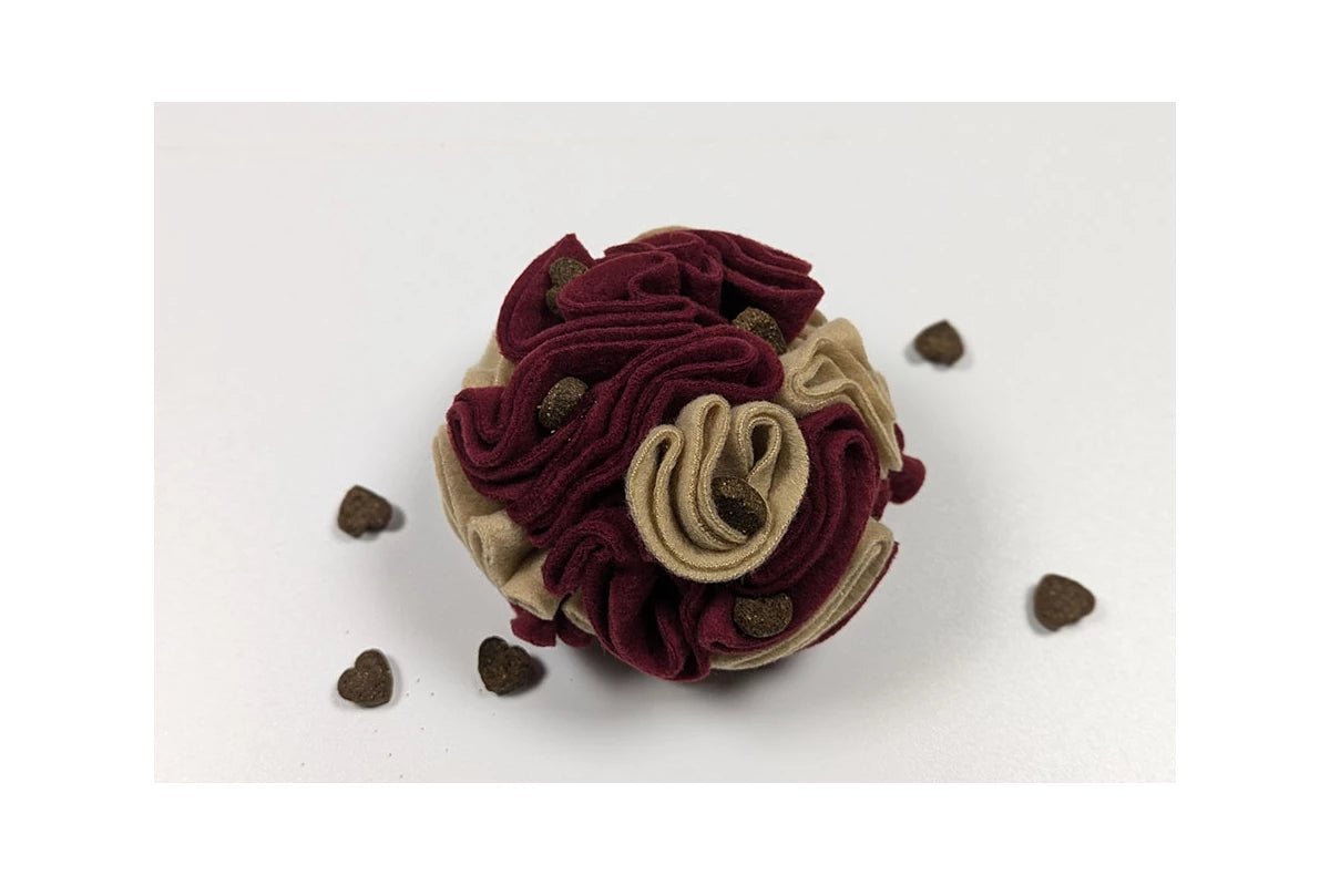 Kit Balle de fouille à monter et friandises - Jeu d’occupation pour chiens - EVIDENT - DOG DéliCAT