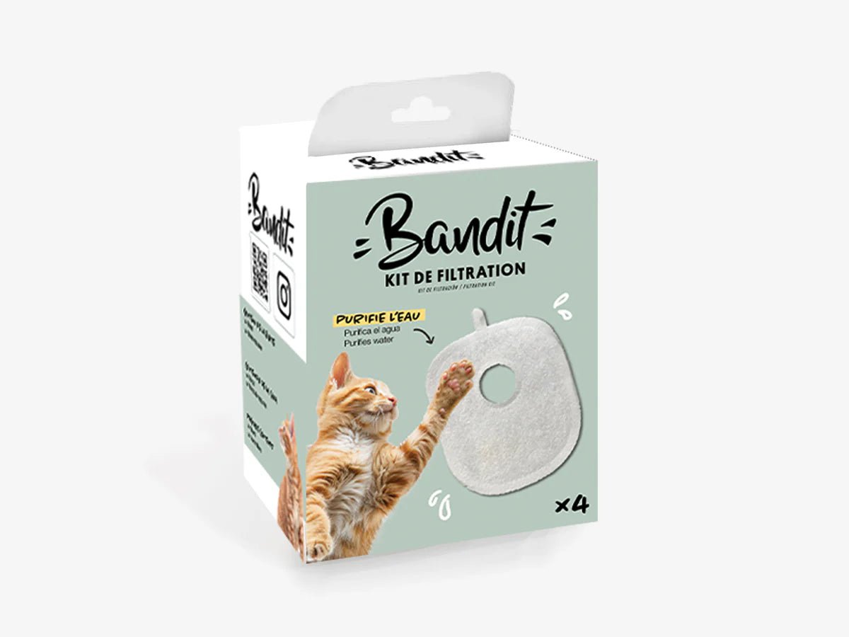 Kit de filtration Bandit – Eau plus saine, hydratation optimale - BANDIT - DOG DéliCAT