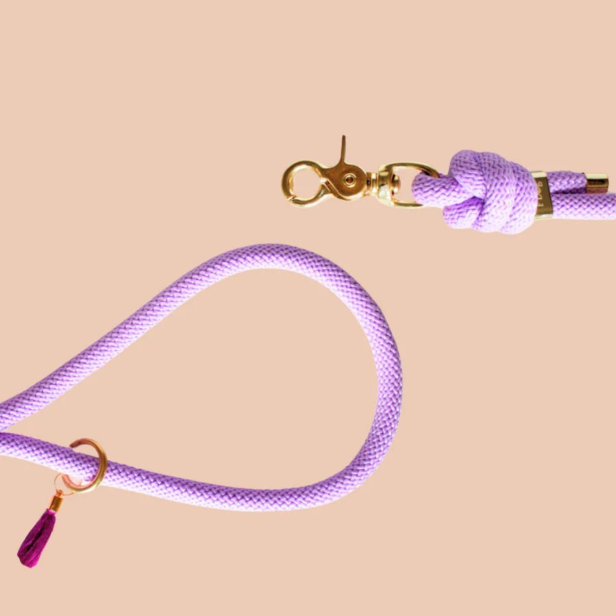 Laisse bandoulière chien corde parme doré - Frimousse Dog - DOG DéliCA