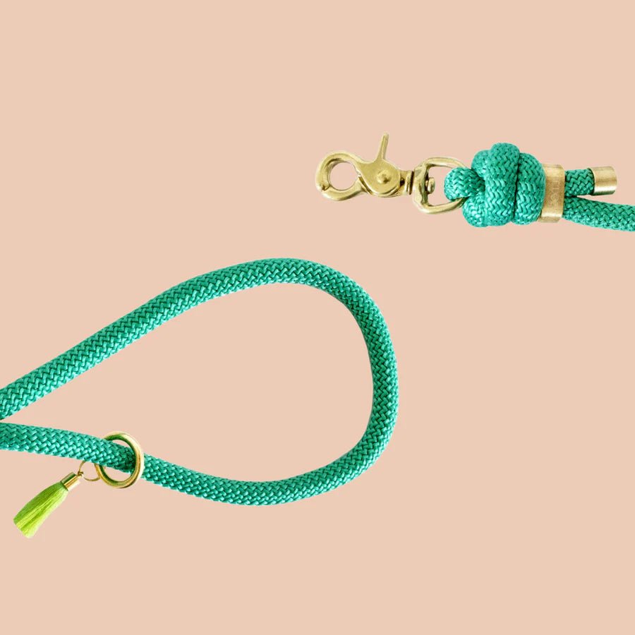 Laisse bandoulière chien corde vert menthe doré - Frimousse Dog - DOG DéliCAT