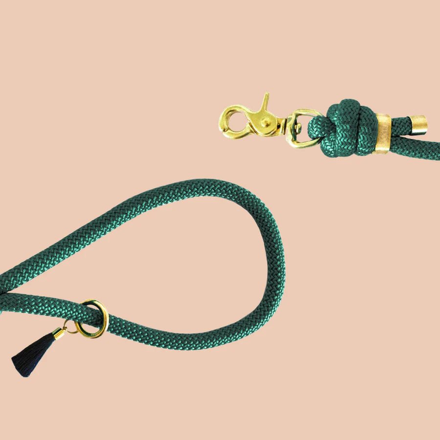 Laisse bandoulière chien corde vert sapin Frimousse Dog – Frimousse Dog – DOG DéliCAT  