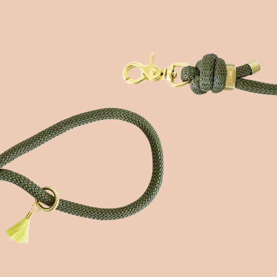 🌿 Laisse bandoulière en corde Kaki - FRIMOUSSE DOG - DOG DéliCAT