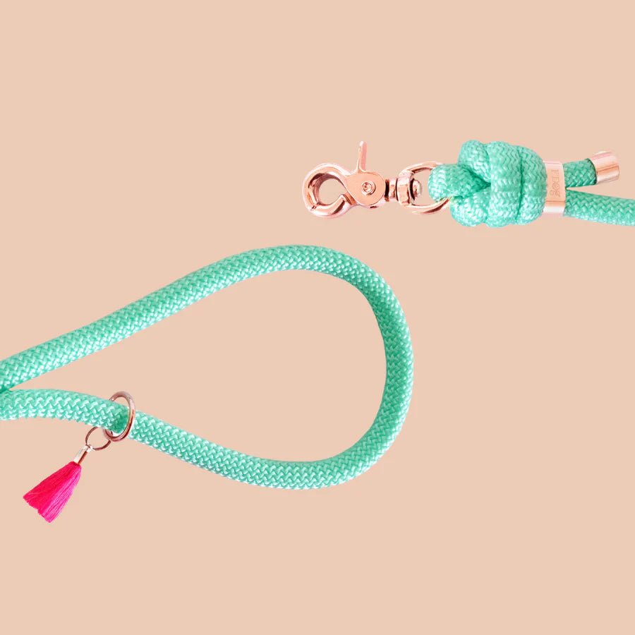 Laisse bandoulière chien corde turquoise doré - Frimousse Dog - DOG DéliCAT