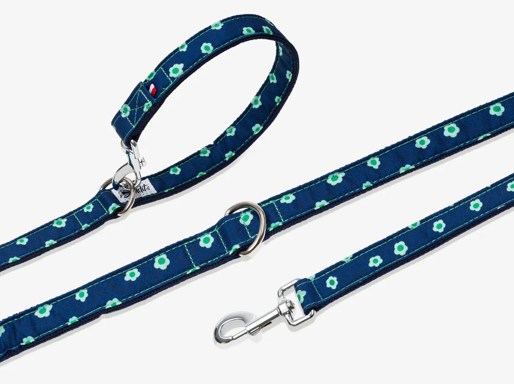 Laisse pour chien motif Oopsy Daisy denim de la marque BANDIT