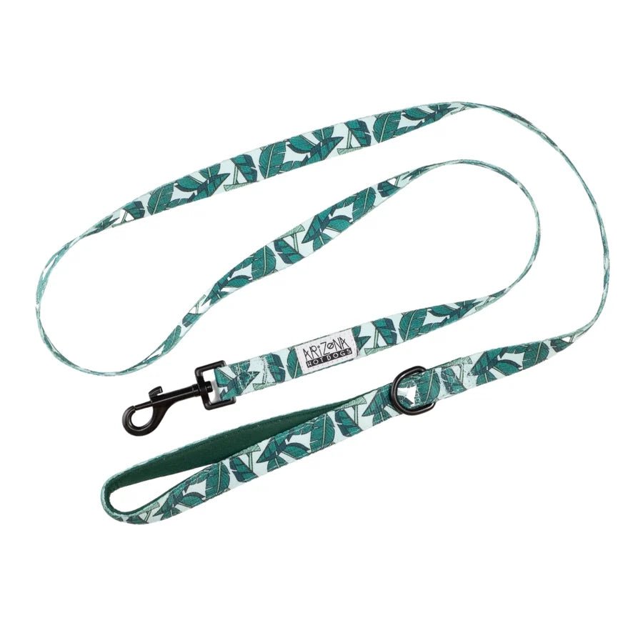 Laisse chien Amazonia turquoise motif feuilles - Arizona Hotdogs - DOG DéliCAT