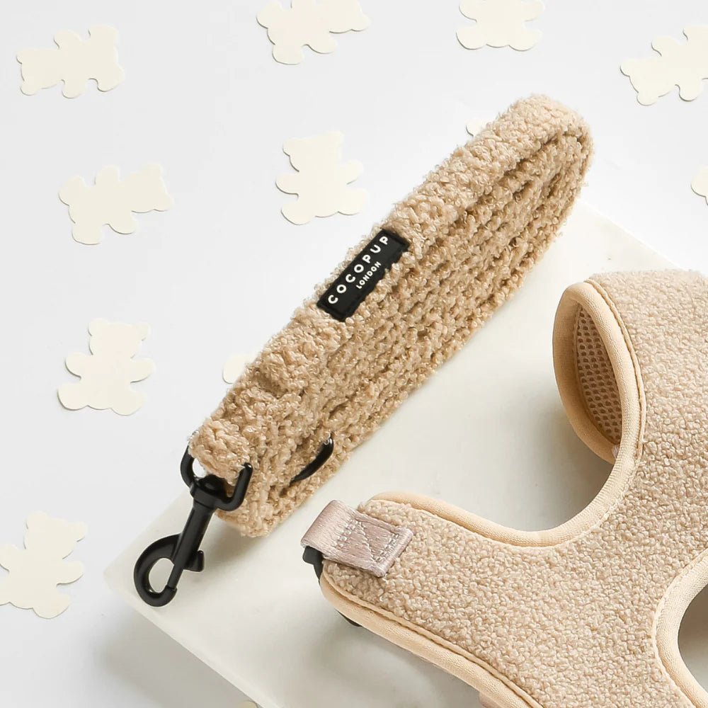 Laisse chien Teddy Rupert – douce, légère & assortie - COCOPUP LONDON - DOG DéliCAT