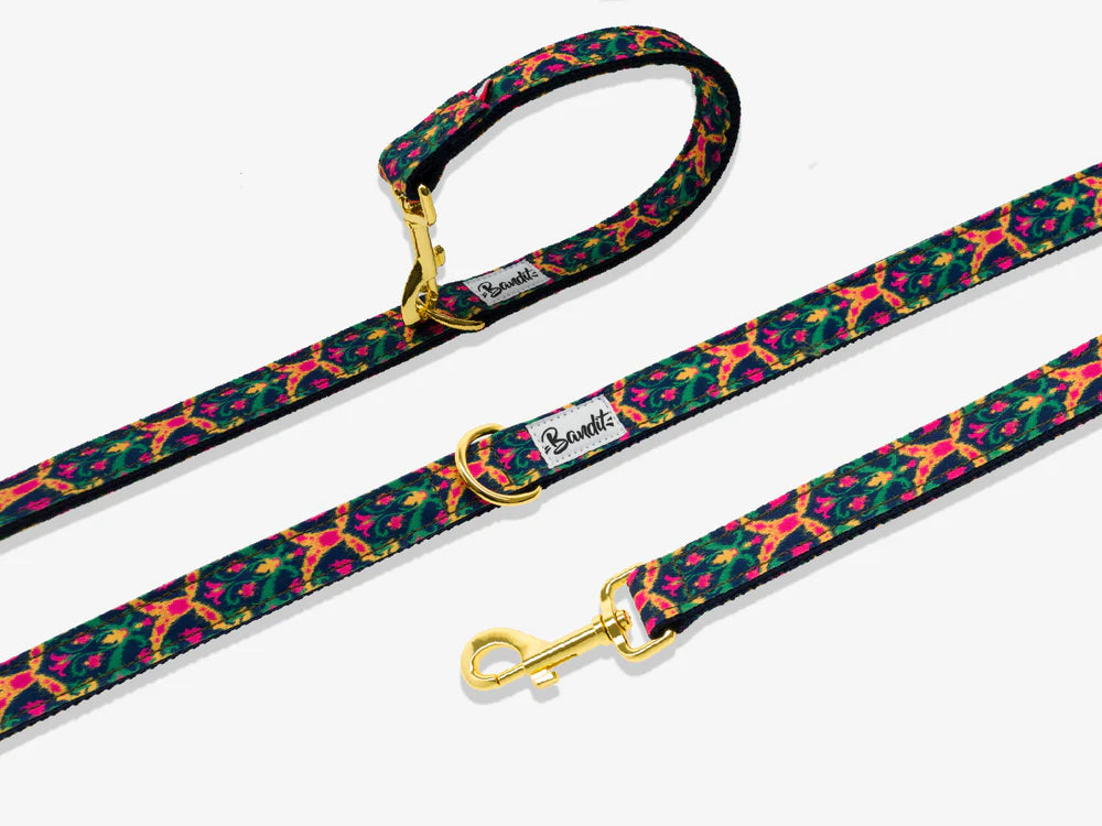 Laisse pour chien motif Bollywoof multicolore de la marque BANDIT