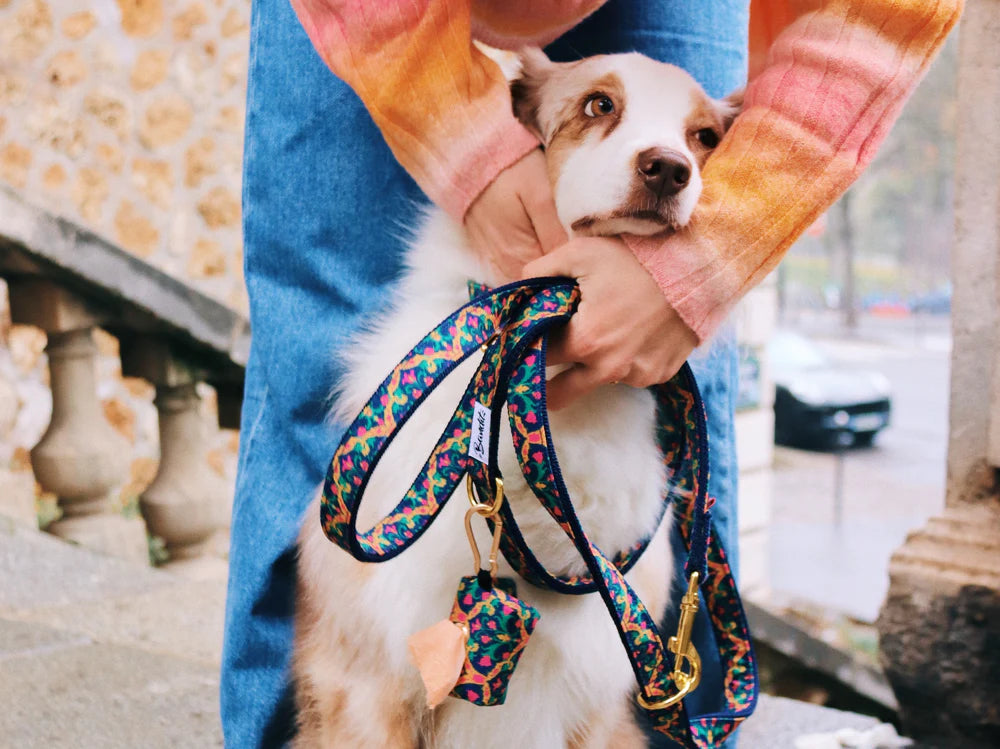 Laisse pour chien motif Bollywoof multicolore de la marque BANDIT