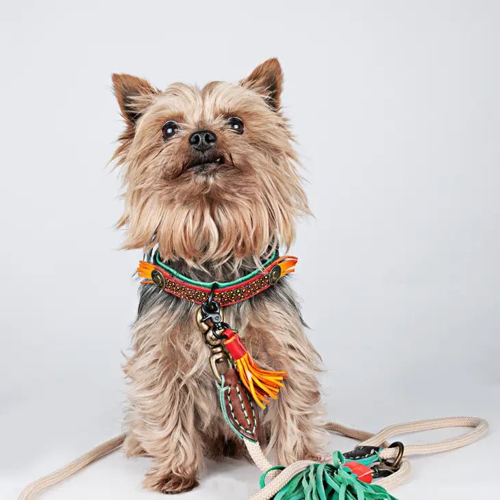 Laisse Classic Sand - DOG WITH A MISSION - DOG DéliCAT