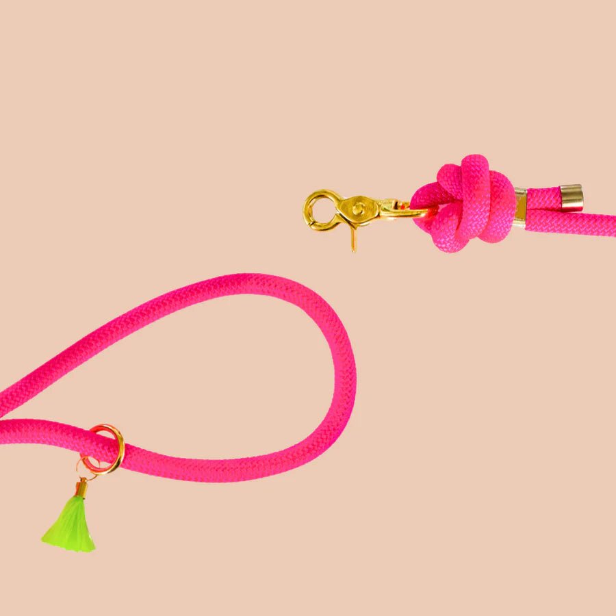Laisse bandoulière chien corde rose fluo doré - Frimousse Dog - DOG DéliCAT