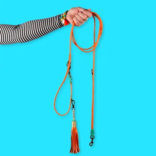 Laisse fine en cuir extra - longue pour chien - DWAM - Couleurs vibrantes - DOG WITH A MISSION - DOG DéliCAT