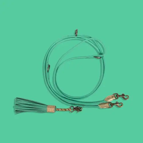 Laisse fine en cuir extra - longue pour chien - DWAM - Couleurs vibrantes - DOG WITH A MISSION - DOG DéliCAT
