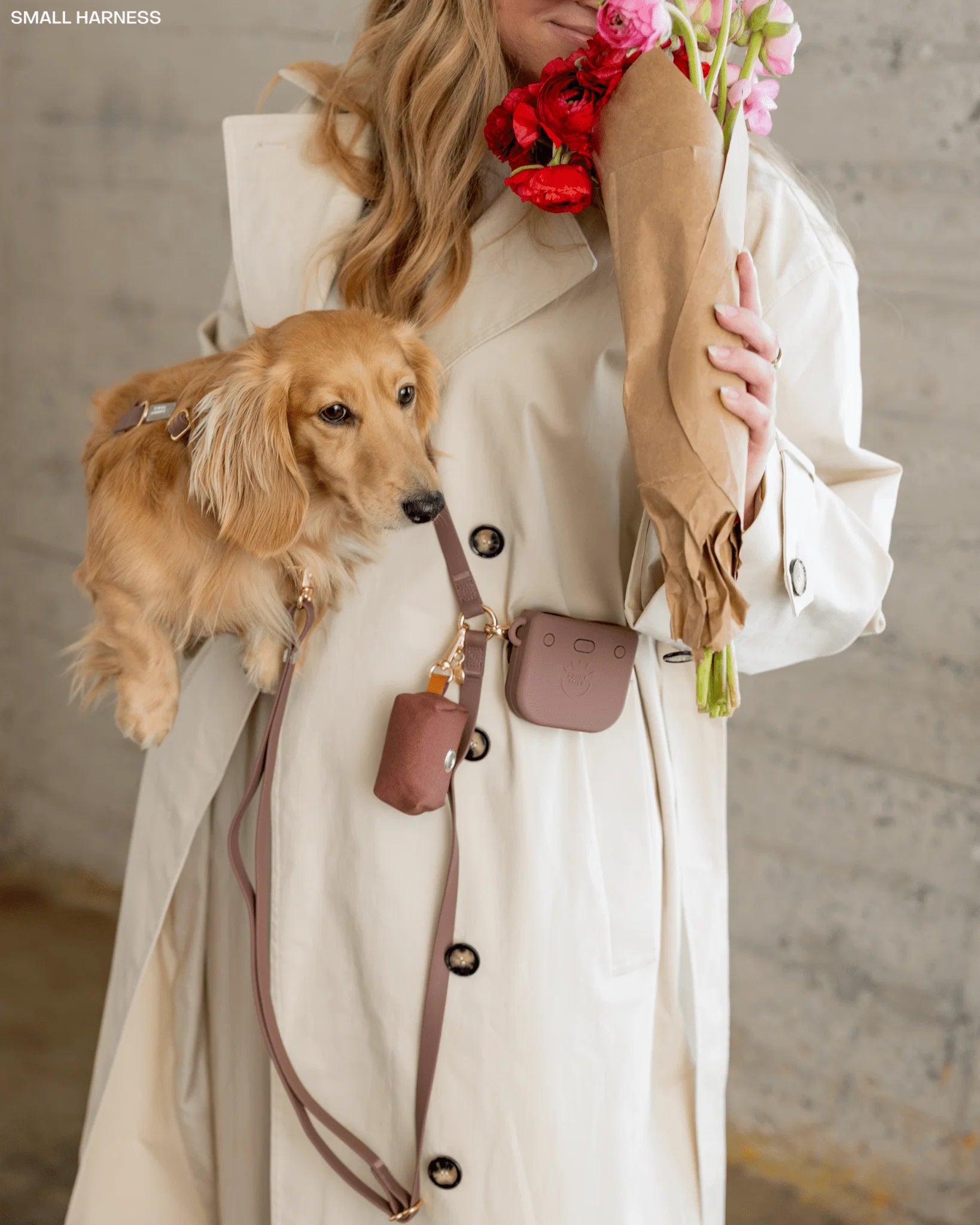Laisse multipositions imperméable pour chien Marron Espresso Sunny Tails – Sunny Tails – DOG DéliCAT