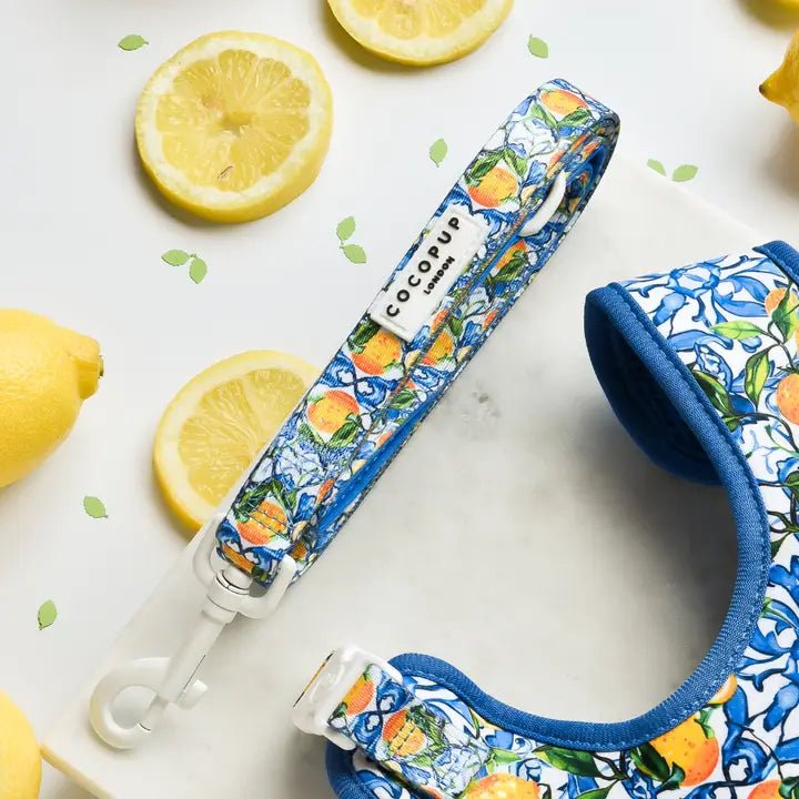 Laisse pour chien Amalfi Lemon CocoPup London – CocoPup London – DOG DéliCAT  