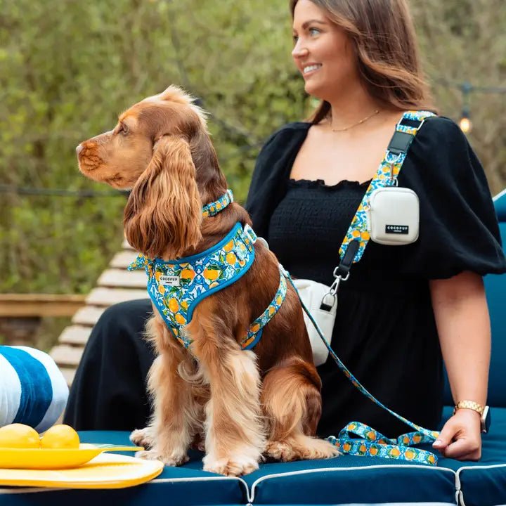 Laisse pour chien Amalfi Lemon CocoPup London – CocoPup London – DOG DéliCAT  
