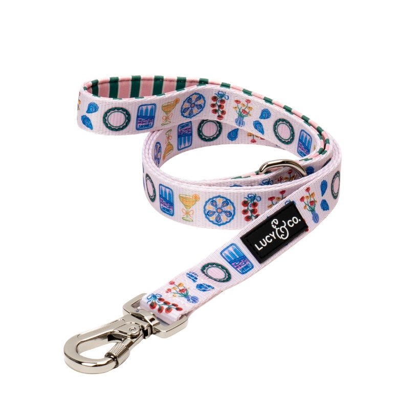 Laisse pour chien dolce vita Lucy & Co. – Lucy & Co. – DOG DéliCAT