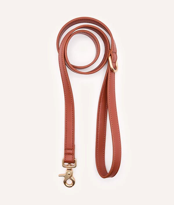 Laisse pour Chien en Cuir Vegan Marron Camel – Jala - CAFIDE - DOG DéliCAT