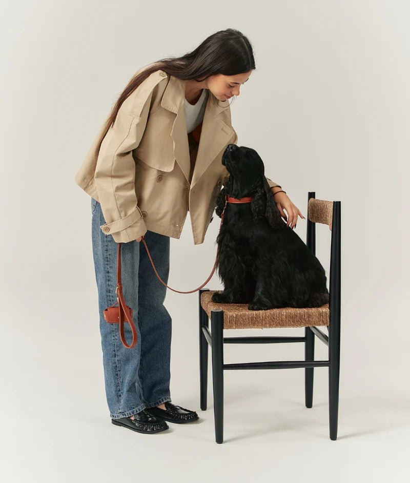 Laisse pour Chien en Cuir Vegan Marron Camel – Jala - CAFIDE - DOG DéliCAT