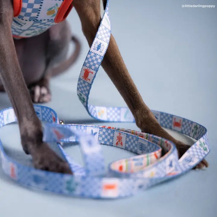 Laisse pour chien ensoleillé en Sicile Lucy & Co. – Lucy & Co. – DOG DéliCAT