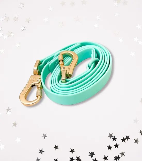 Laisse pour chien multi positionnable imperméable - Aquarius Turquoise (PVC) - ARIZONA HOT DOGS - DOG DéliCAT