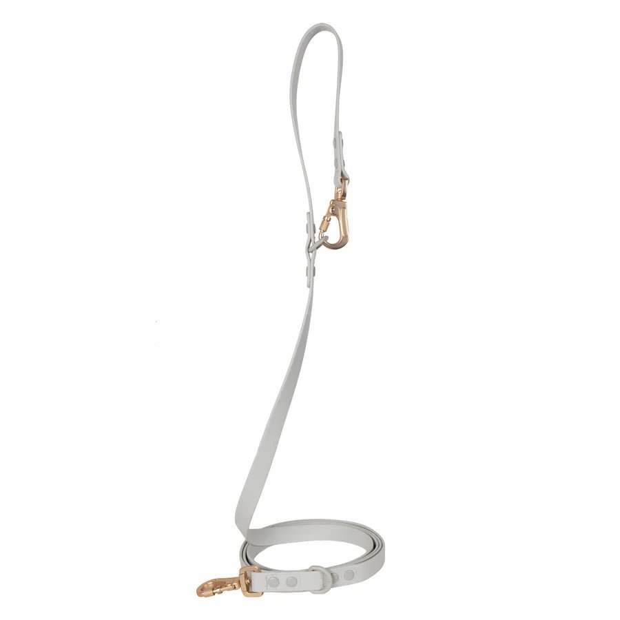 Laisse pour chien multipositionnable imperméable gris perle Cancer Arizona Hotdogs DOG DÉLICAT