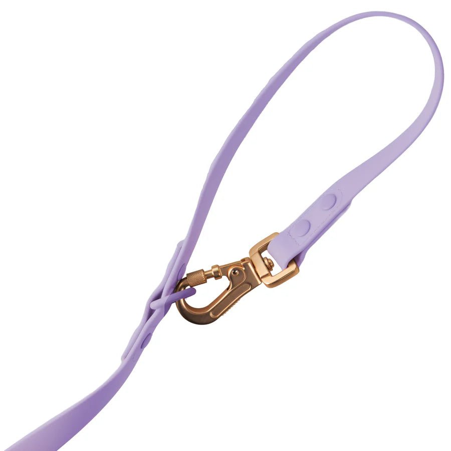 Laisse pour chien multipositionnable imperméable Lila Sagitarius - Arizona Hotdogs - DOG DéliCAT