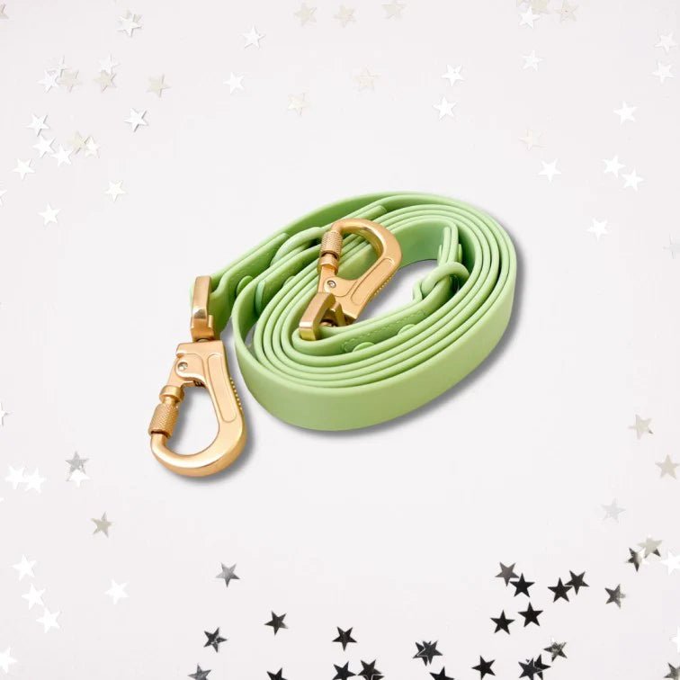 Laisse pour chien multipositionnable imperméable Gemini Vert pastel - Arizona Hotdogs - DOG DéliCAT