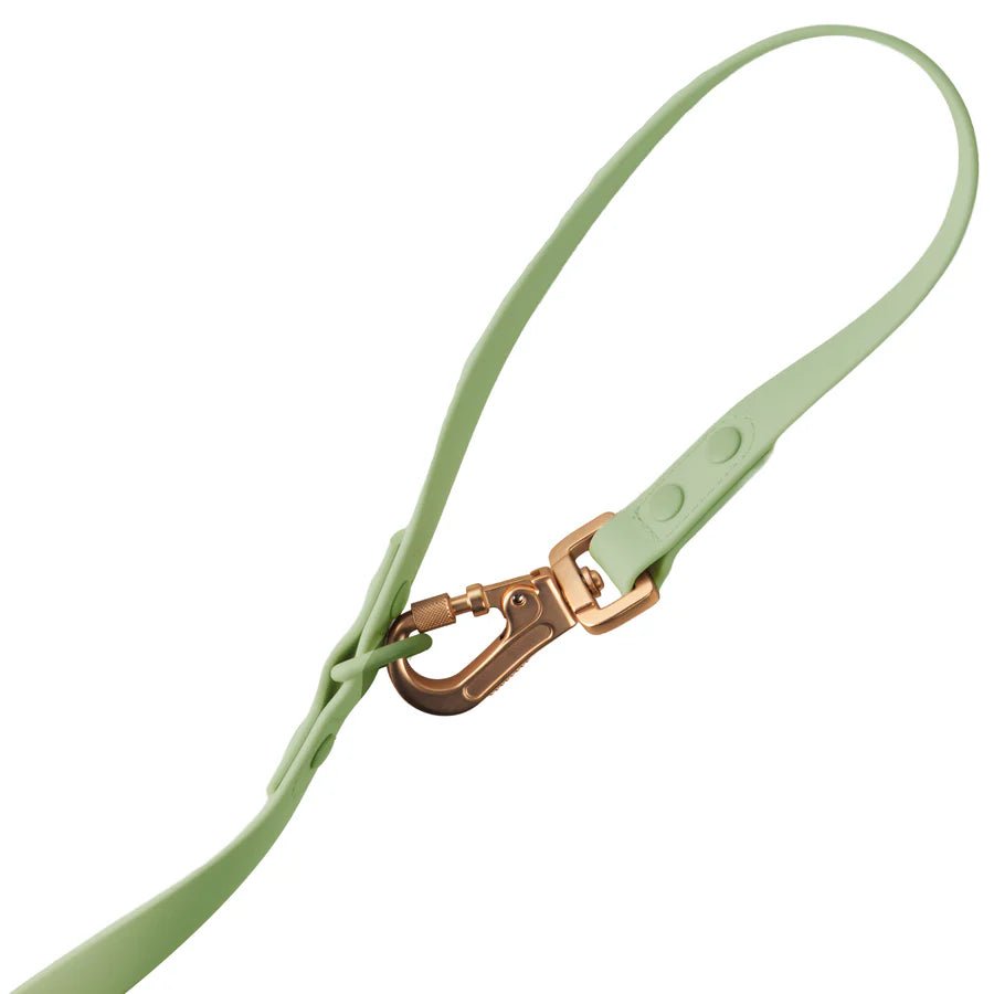 Laisse pour chien multipositionnable imperméable Gemini Vert pastel - Arizona Hotdogs - DOG DéliCAT