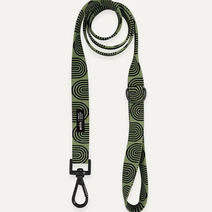 Laisse pour chien poignée 1m20 Vert Kaki et Design Japonais - CAFIDE - DOG DéliCAT