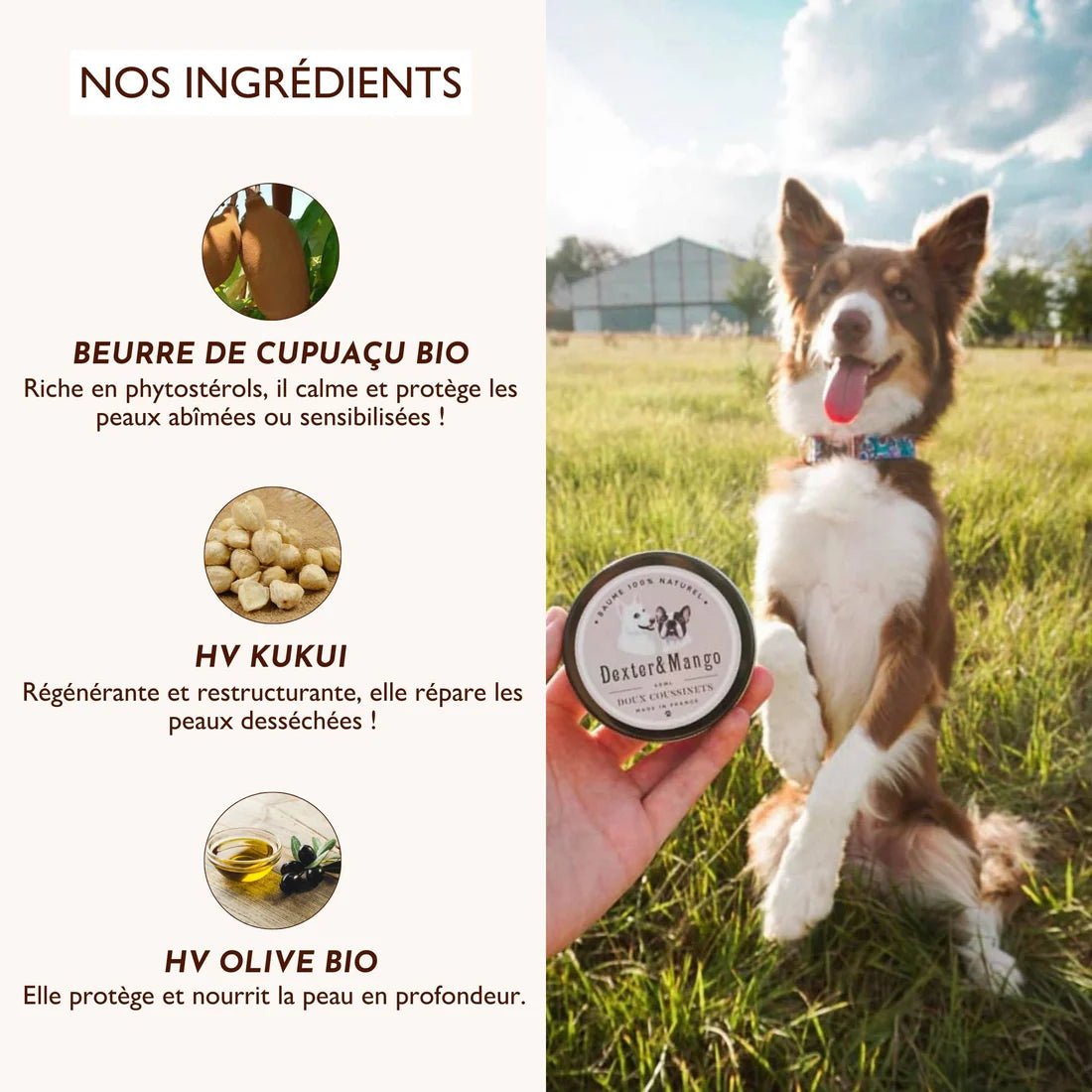 Le Doux Coussinets - Baume naturel protecteur pour chiens - DEXTER & MANGO - DOG DéliCAT