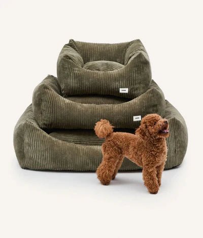 Lit pour chien en velours côtelé vert - Snozy - CAFIDE - DOG DéliCAT