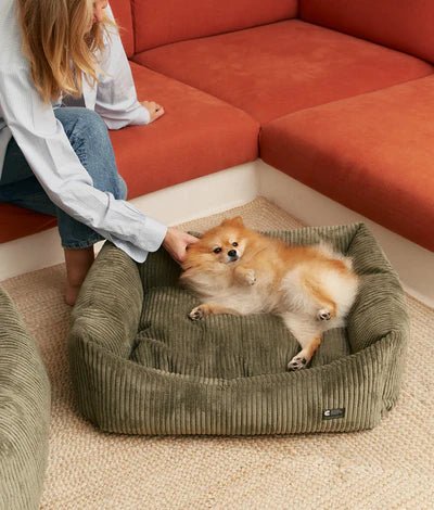 Lit pour chien en velours côtelé vert - Snozy - CAFIDE - DOG DéliCAT