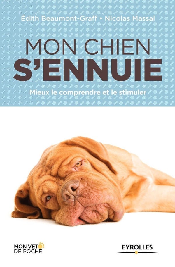 Livre éducation chien Mon chien s’ennuie mieux le comprendre et le stimuler - DOG DéliCAT