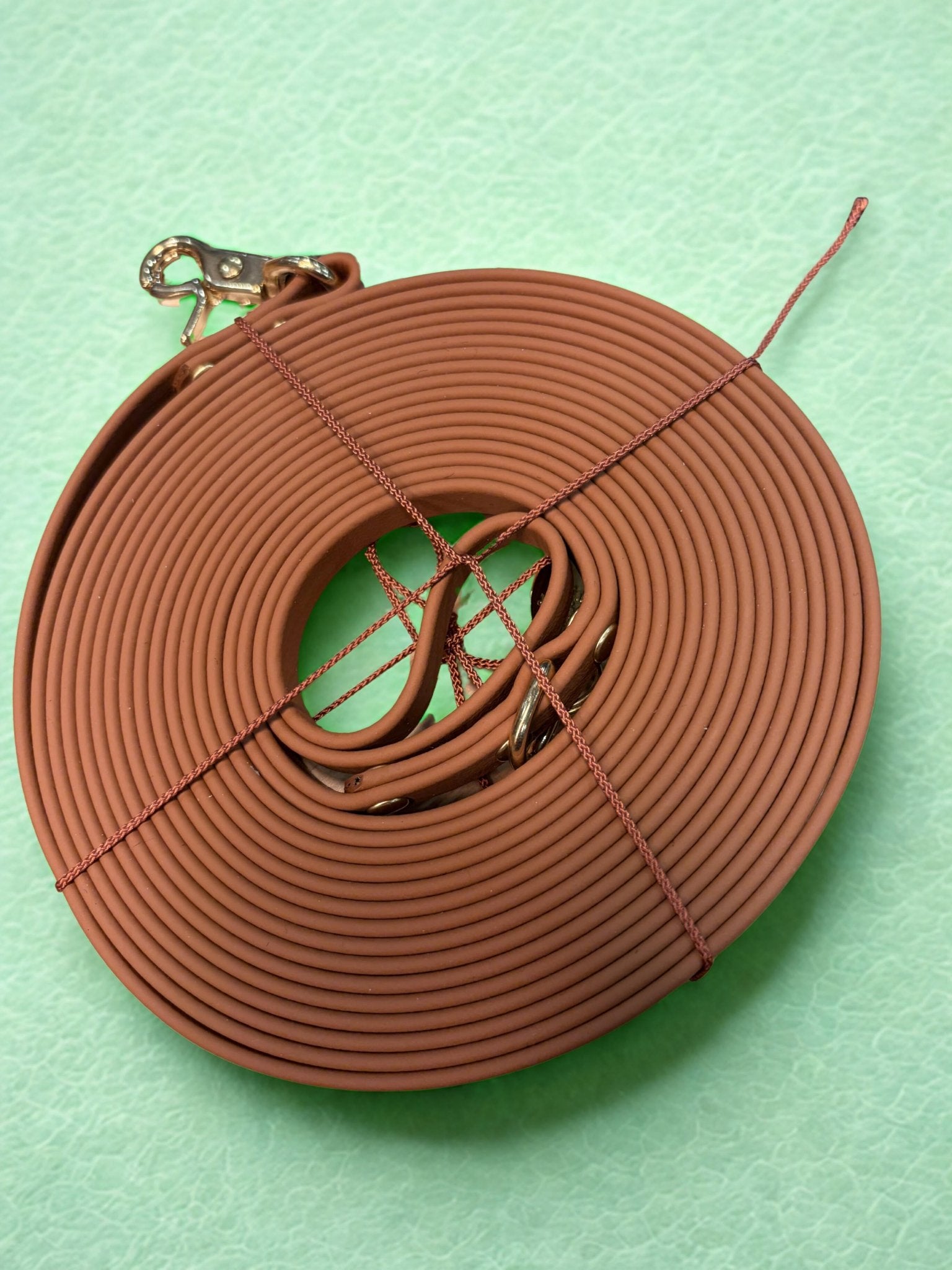 Longe imperméable en biothane pour petit chien vert sauge - Atelier Markiz - DOG DéliCAT