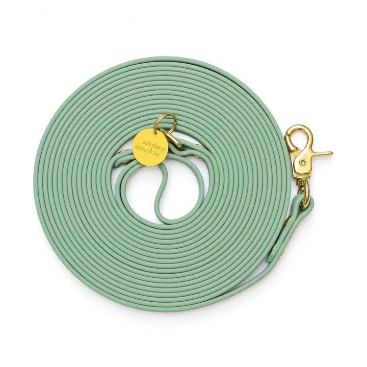 Longe imperméable en biothane pour chien vert sauge - Atelier Markiz - DOG DéliCAT