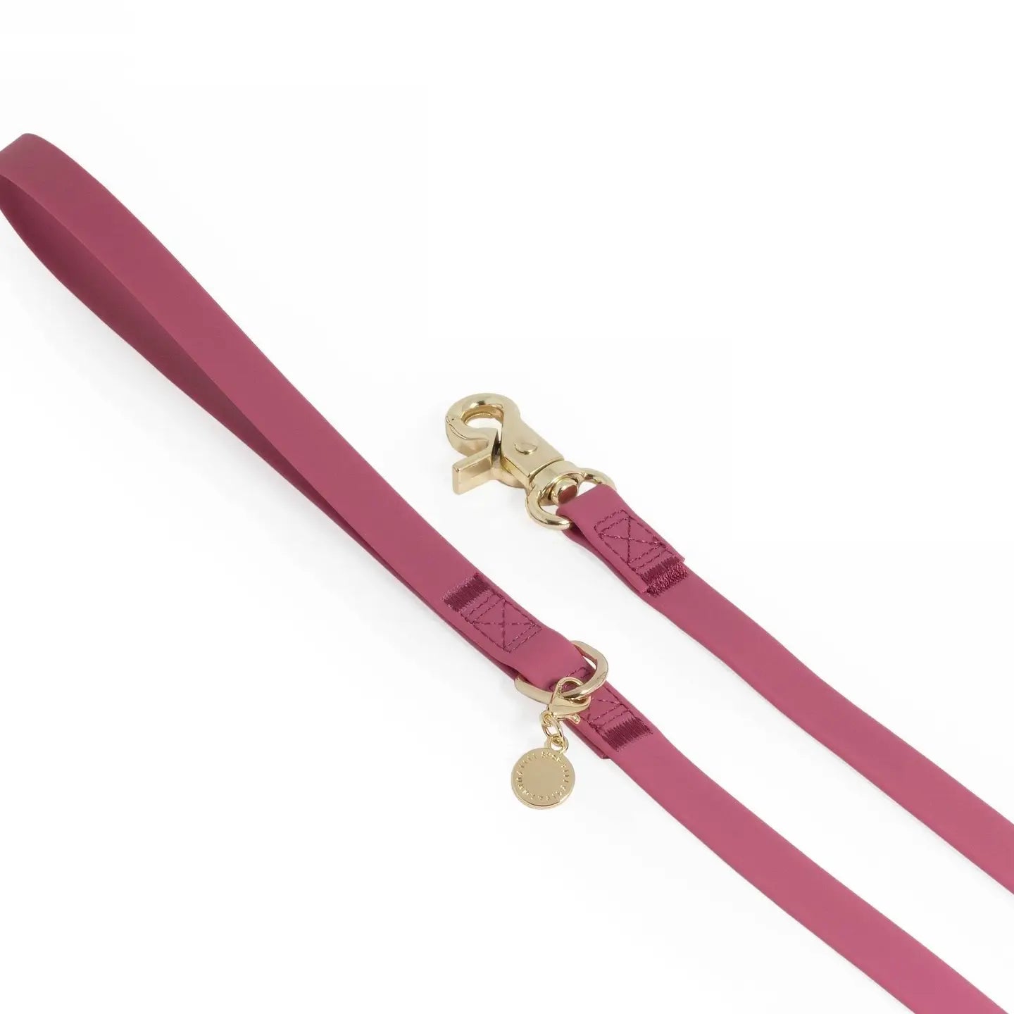 Longe pour chien waterproof Cloud Sunny Tails
