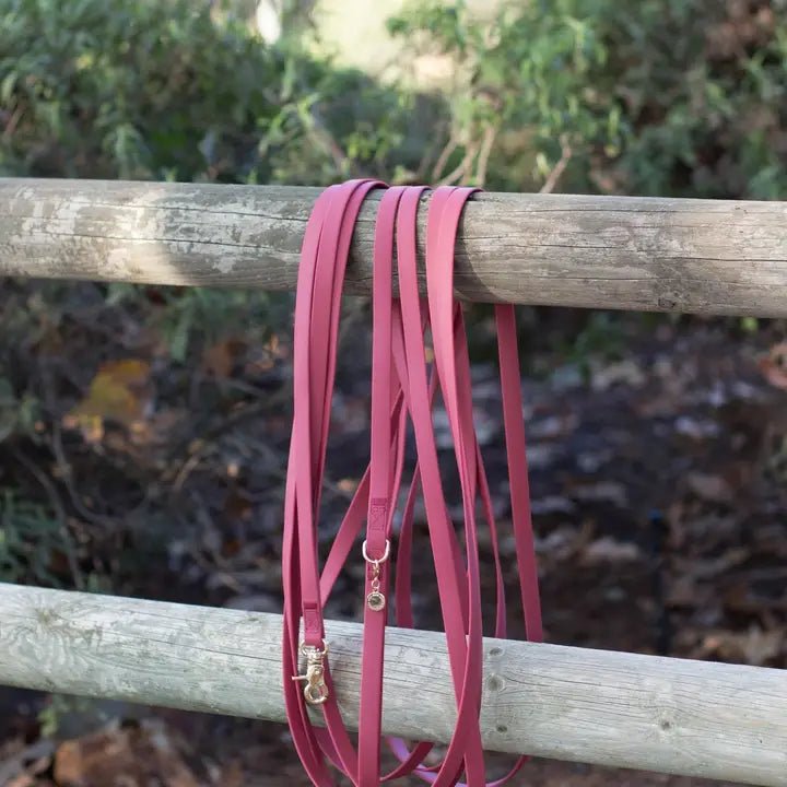 Longe pour chien waterproof Cloud Sunny Tails - SUNNY TAILS - DOG DéliCAT