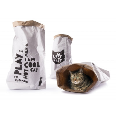 sac kraft recyclé chat aire de jeu