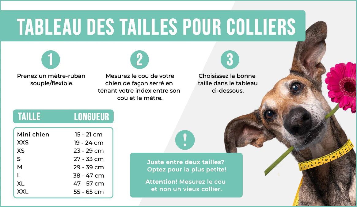 Collier Perles Paddy Lee
