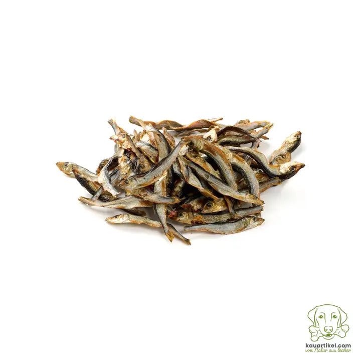 Mastication pour chiens et chats - Sprats séchés 100% naturels (100g) - KAUARTIKEL - DOG DéliCAT