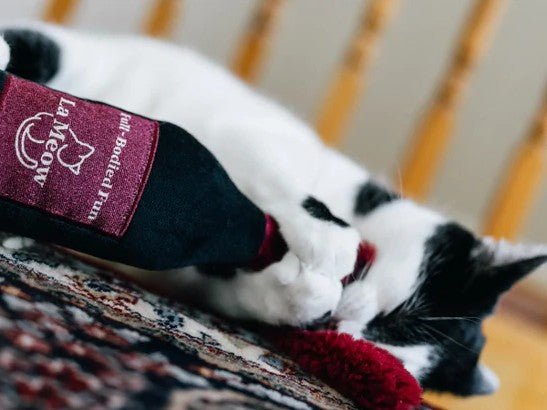 Maxi Jouet pour Chat – Cat Kicker Bouteille de Vin 🍷 - PET PLAY - DOG DéliCAT