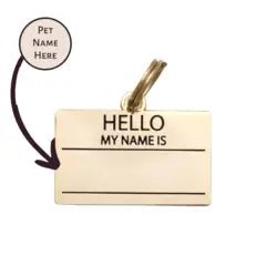 médaille gravée pour chien personnalisable hello my name is – Two Tails – DOG DéliCAT